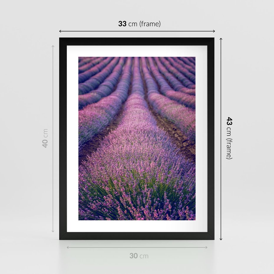 Plakat w ramie 30x40 - Pole Lawendy w Pełnej Krasie - pole lawendy, kompozycja - rama czarna