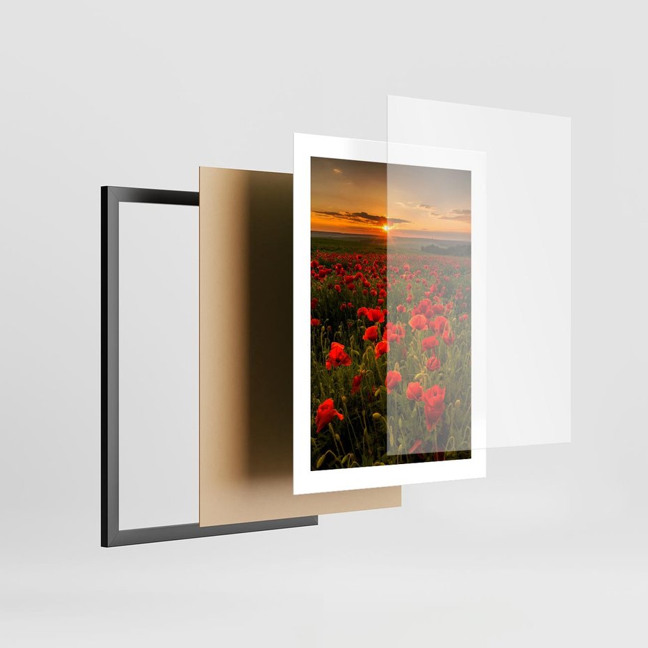 Plakat w ramie 30x40 - Maki przy zachodzie słońca - maki, zachód - rama czarna