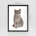 Plakat w ramie 30x40 - Kocie uroki na płótnie - kot, kotek - rama czarna