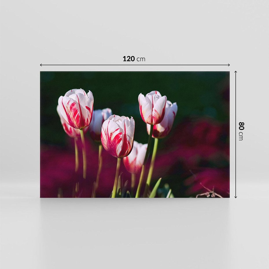 Obraz na płótnie 120x80 - Kwiatowy raj w naturze - kwiat, kwiaty