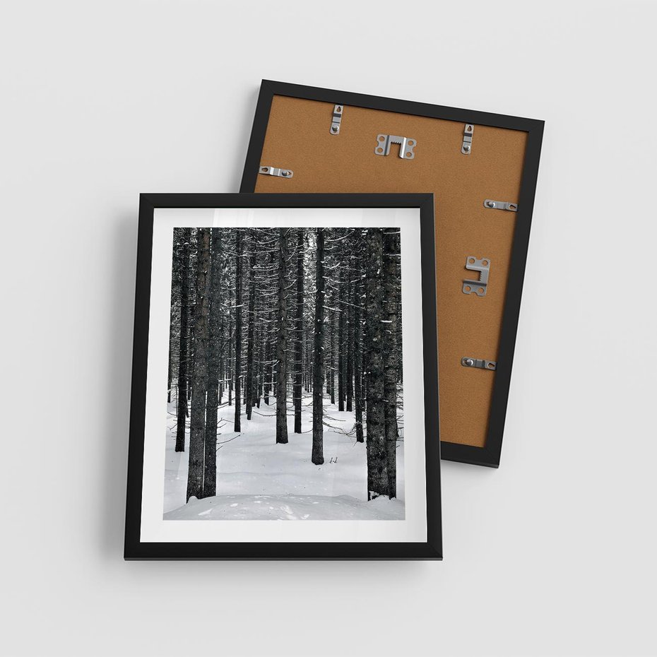 Plakat w ramie 40x50 - Zimowe Drzewa: Śnieg na Pniach - drzew w zimi, pnie drzew - rama czarna