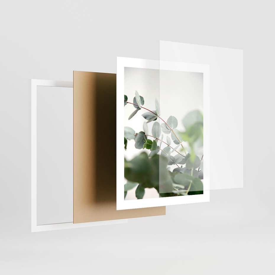 Plakat w ramie 40x50 - Zielony Świat Eukaliptusa - eukaliptus, fotografia - rama biała