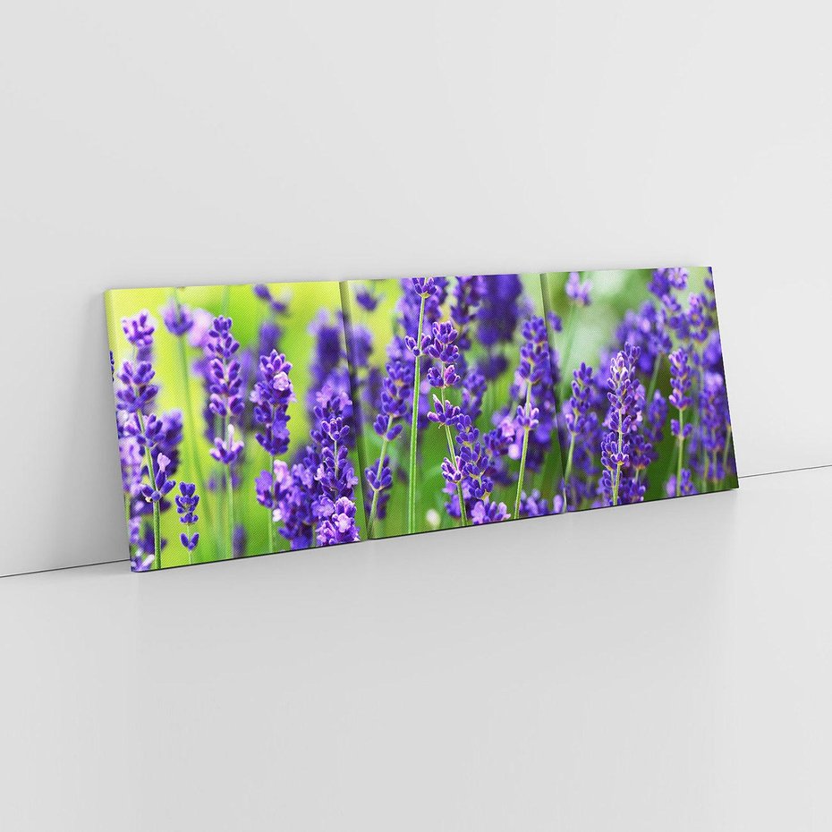 Obraz na płótnie 120x40 - Elegancka lawenda w pełnym rozkwicie - lawenda, kwiaty