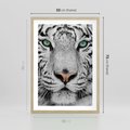 Plakat w ramie 50x70 - Magia Białego Tygrysa - biały, tygrys - rama drewno