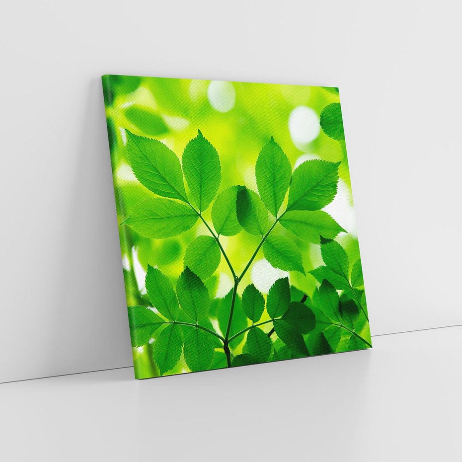 Obraz na płótnie 50x50 - Magia liści - liście, drzewo