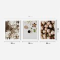 Zestaw obrazy w ramie 30x40 galeria - Kwiaty, róże, kawa - rama biała