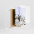 Zestaw obrazy w ramie 50x70 galeria - Stare, drzwi, liście, sanseweria - rama biała
