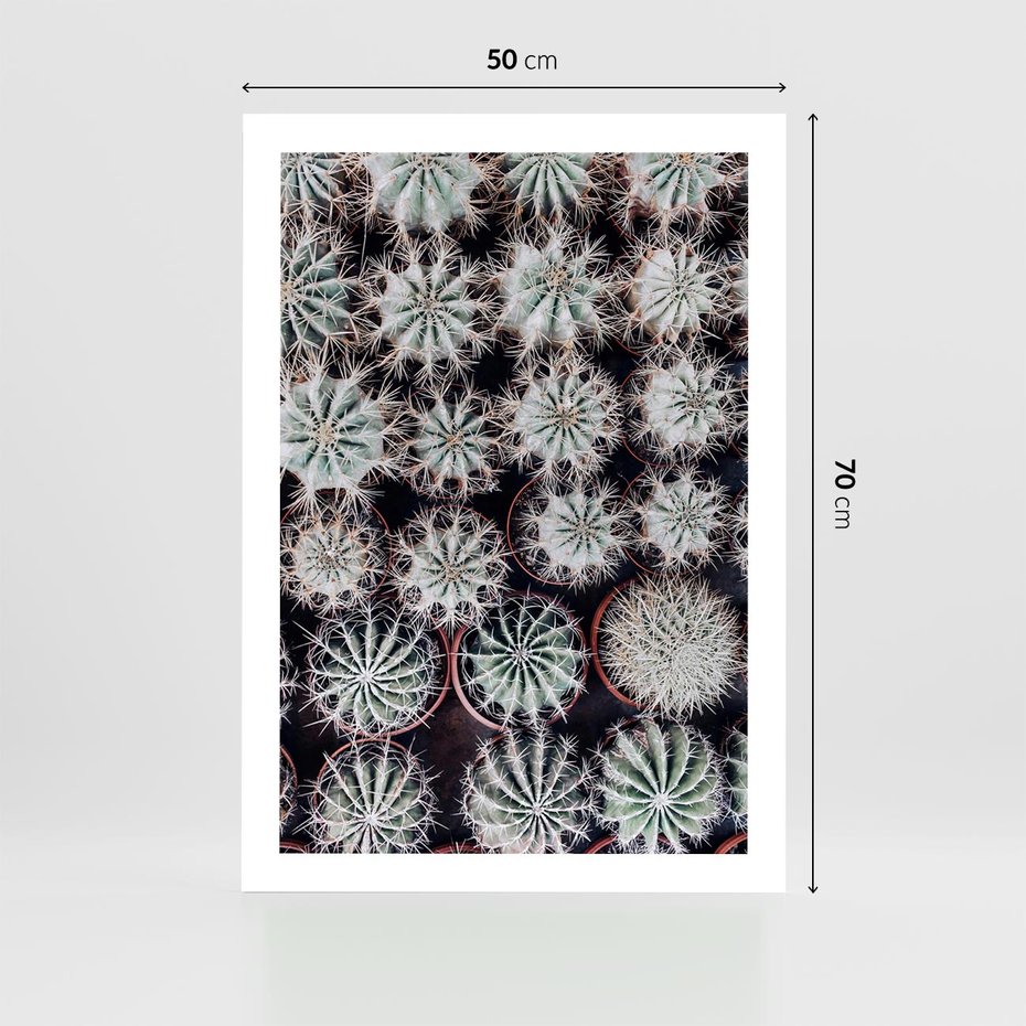 Plakat bez ramy 50x70 - Wzór Kaktusów - kaktusy w doniczkach, ujęcie z góry