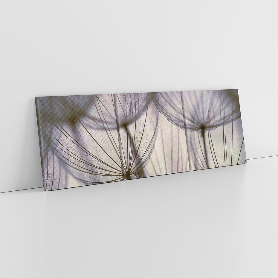 Obraz na płótnie 120x40 - Makro dmuchawiec - piękno drobnych detali - dmuchawce, makro