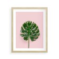 Plakat w ramie 40x50 - Egzotyczna Roślinność - liście, monstera - rama drewno