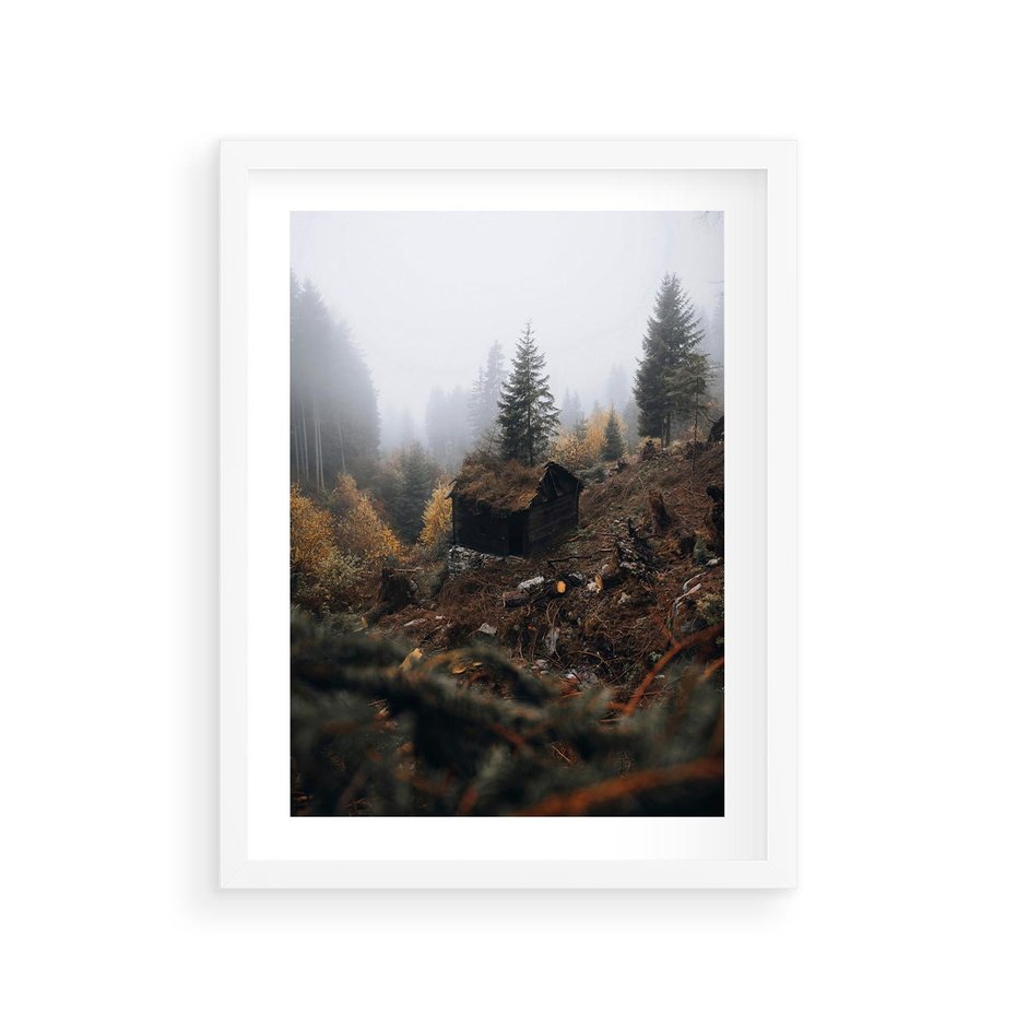 Plakat w ramie 30x40 - Górski las - stary zniszczony domek w górach, góry - rama biała