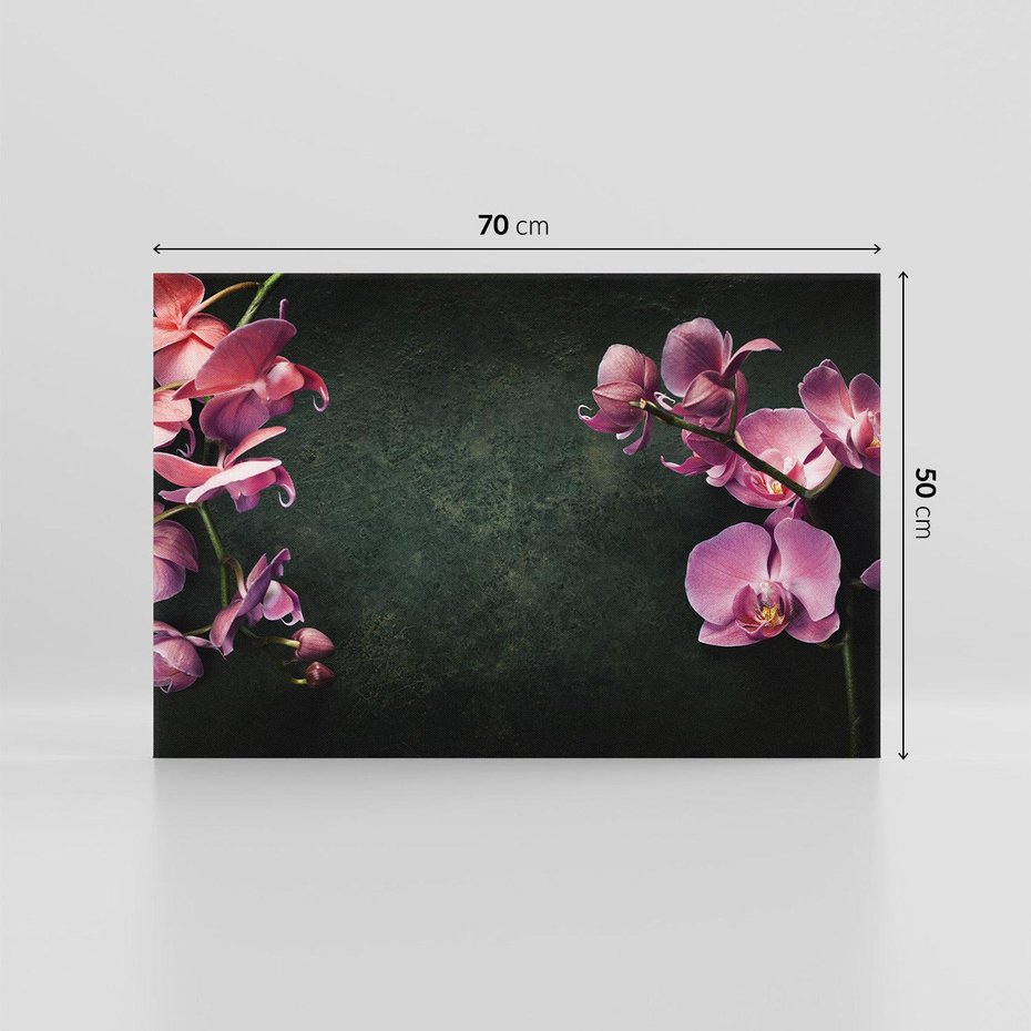 Obraz na płótnie 70x50 - Harmonia i relaks - orchidea, kwiat