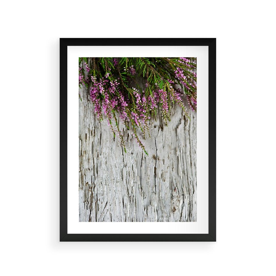 Plakat w ramie 30x40 - Fioletowe Wrzosy - wrzosy, fiolet - rama czarna
