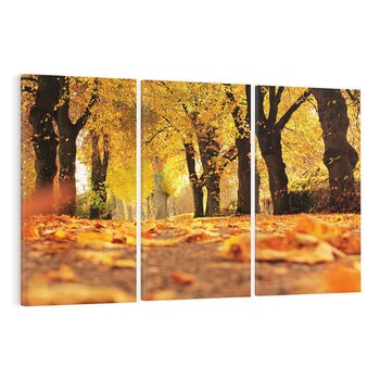 Obraz na płótnie 120x80 - Jesień, Liście, Park - Kolorowa Symfonia - jesień, liście