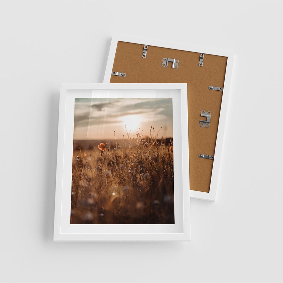 Plakat w ramie 40x50 - Zachwyt zachodem słońca na łące - zachód, słońca - rama biała