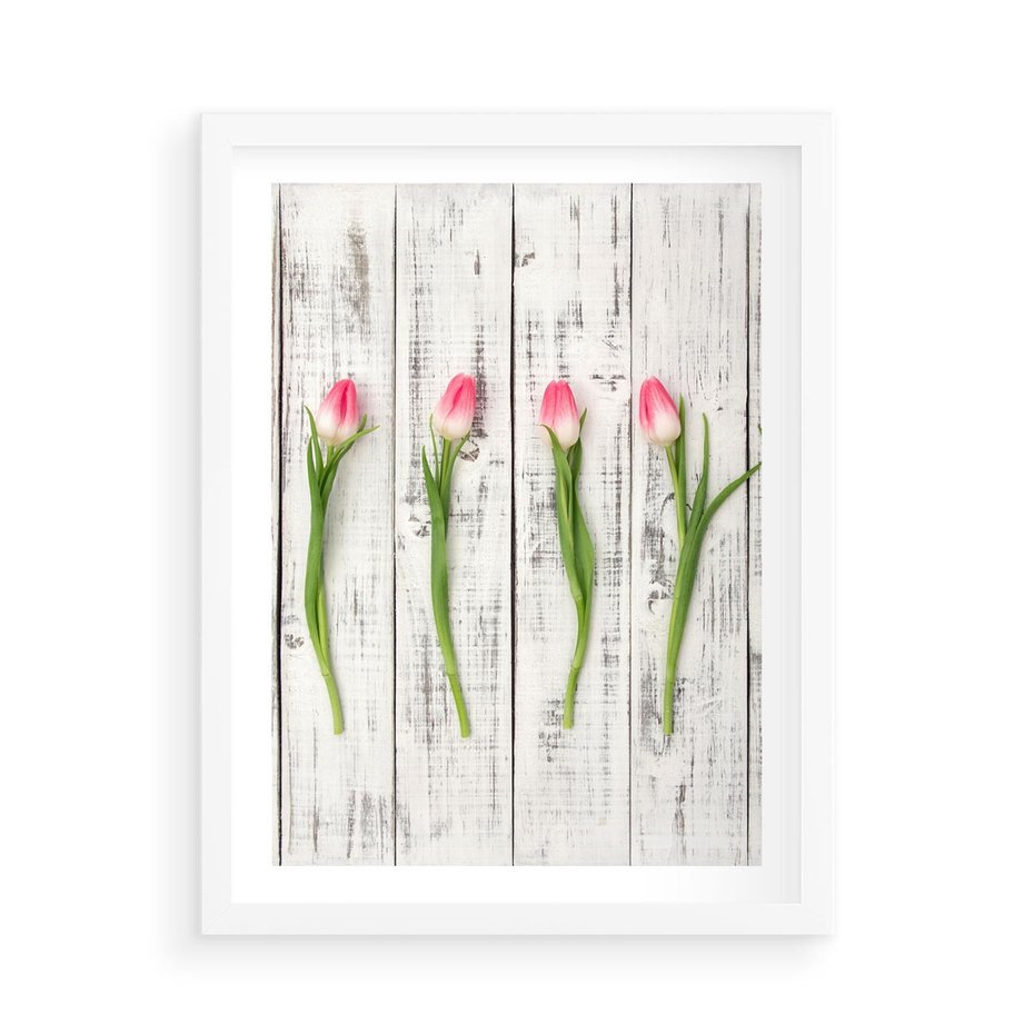 Plakat w ramie 50x70 - Kwintesencja Piękna - kwiaty, tulipany - rama biała