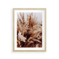 Plakat w ramie 30x40 - Sztuka Suszonych Traw - trawa pampas, suszone trawy - rama drewno