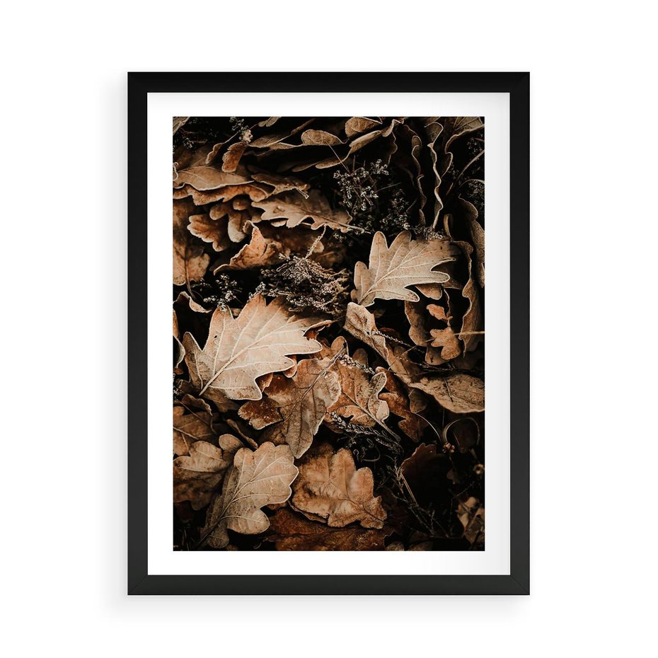 Plakat w ramie 50x70 - Jesienna Melodia: Liście i Szyszki - suche liście, szyszki - rama czarna