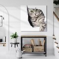 Obraz na płótnie 40x40 - Tajemniczy kot i jego świat - kot, dziura