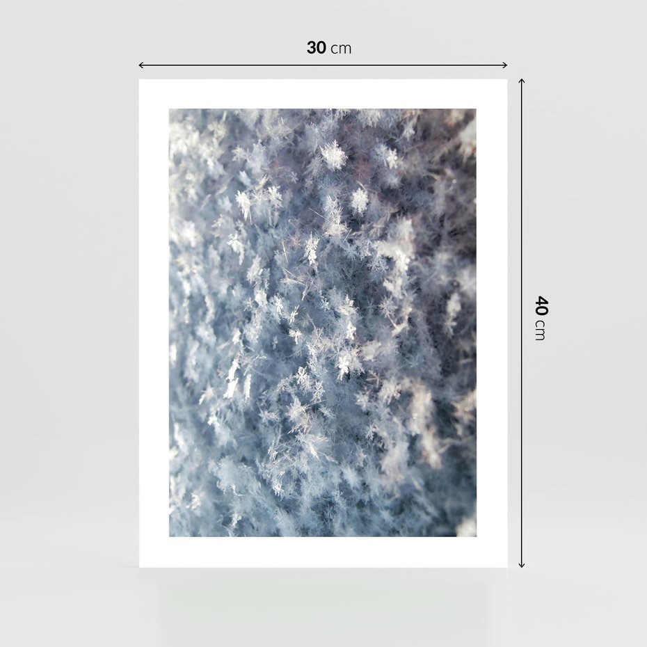Plakat bez ramy 30x40 - Magia Śnieżnych Kryształków - śnieg, szron