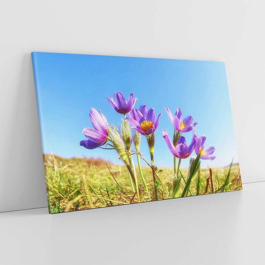 Obraz na płótnie 120x80 - Kwiatowa siła łąki - kwiaty, łąka