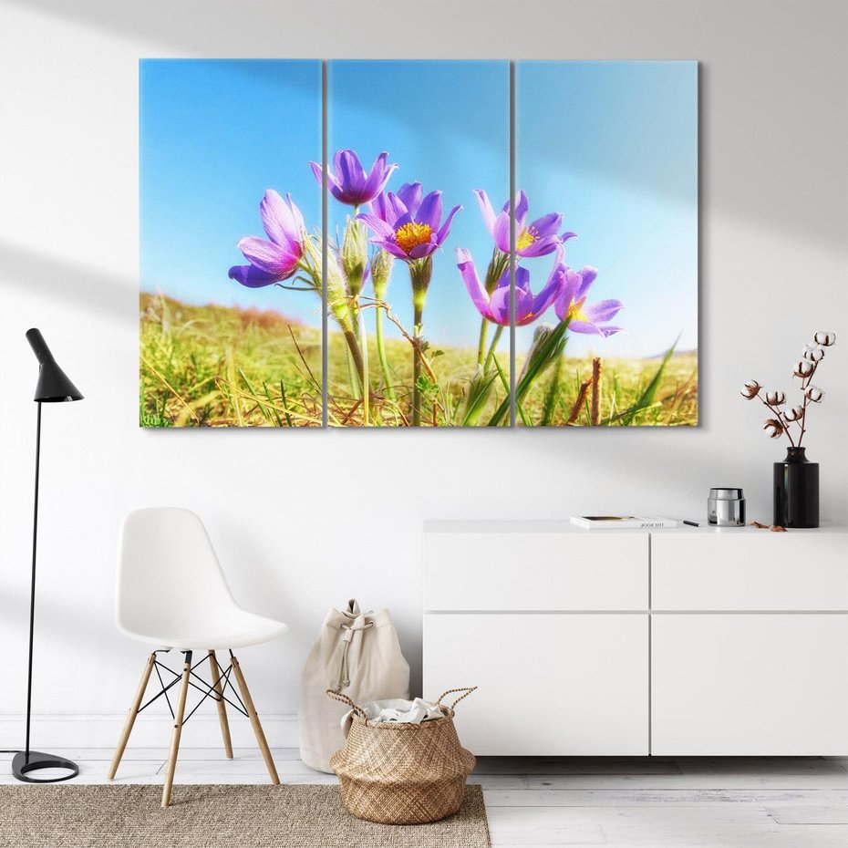 Obraz na płótnie 120x80 - Kwiatowa siła łąki - kwiaty, łąka