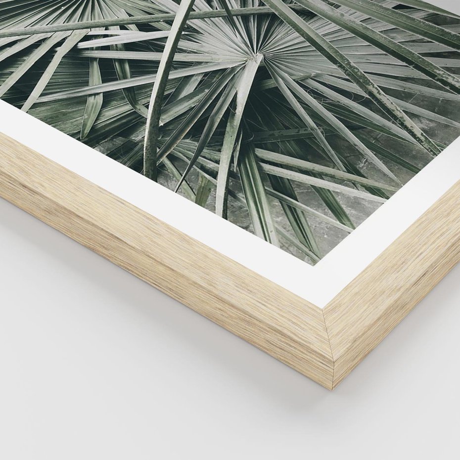 Plakat w ramie 30x40 - Palmy w Zgaszonej Zieleni - palmy, tropikalne liście - rama drewno