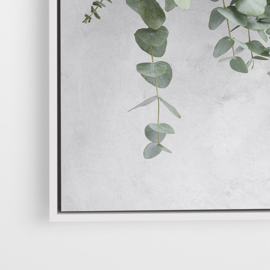 Obraz w ramie 80x120 - Uwodzicielska zieleń eukaliptusa - eukaliptus, zielone - rama biała
