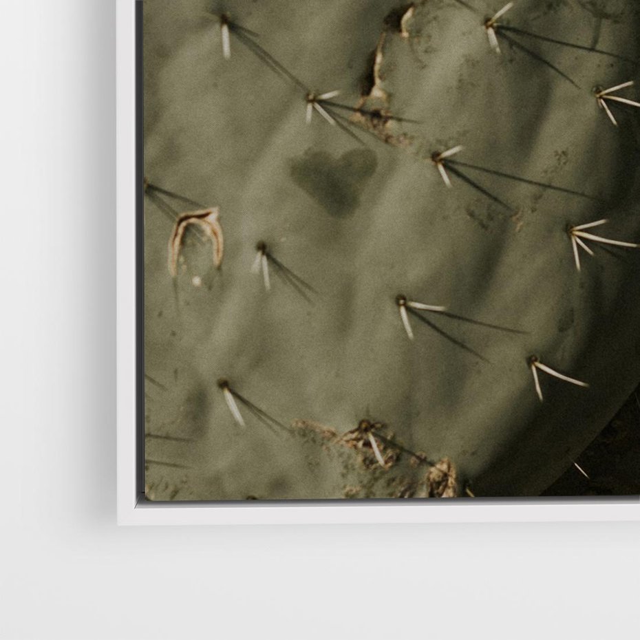 Obraz w ramie 50x50 - Urok Egzotyki - kaktusy, boho - rama biała