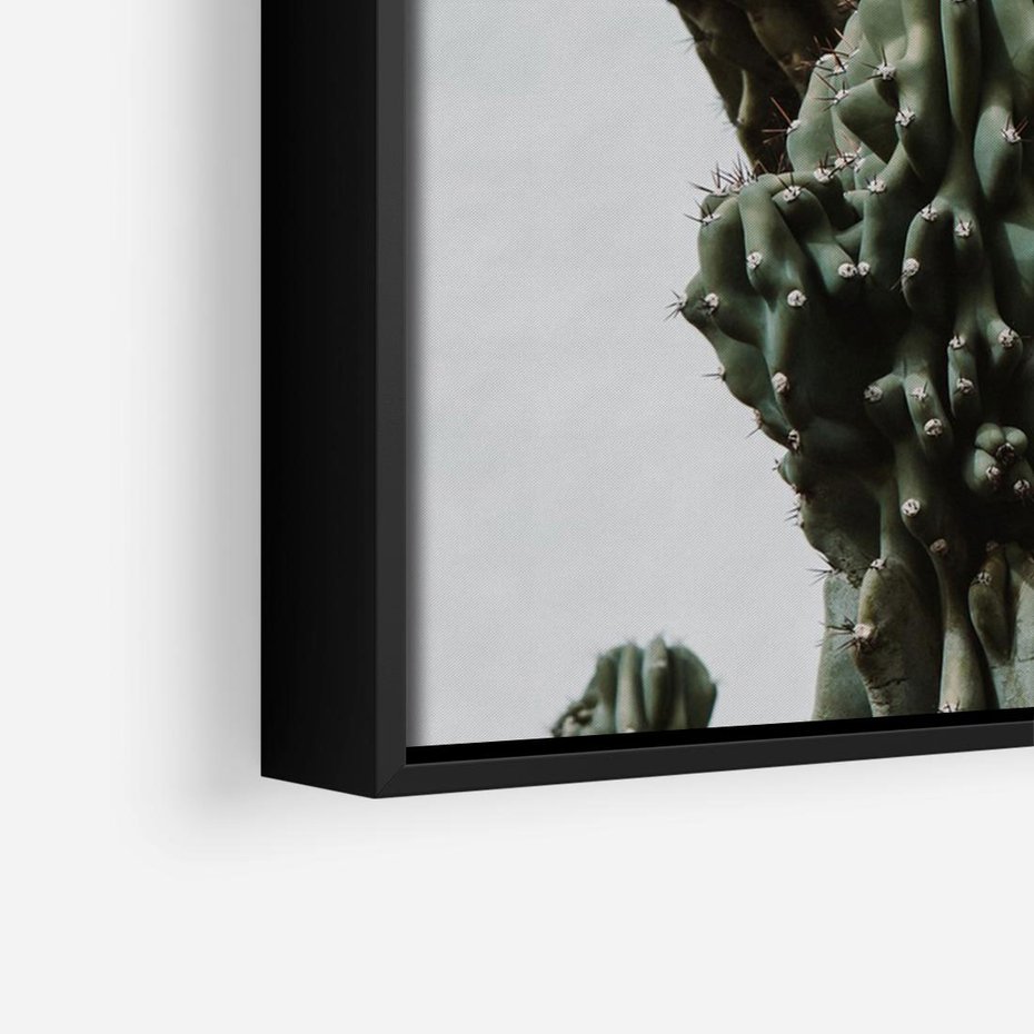 Obraz w ramie 70x50 - Boho oaza wśród kaktusów - kaktusy, pustynia - rama czarna