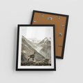 Plakat w ramie 40x50 - Dzikie Piękno: Kozica w Malowniczym Górskim Scenerii - kozica, góry - rama czarna