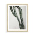 Plakat w ramie 50x70 - Zielona Roślina z Liśćmi - zielona roślina, liście - rama drewno