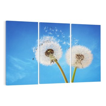 Obraz na płótnie 120x80 - wiatr pełen marzeń - dmuchawce, wiatr