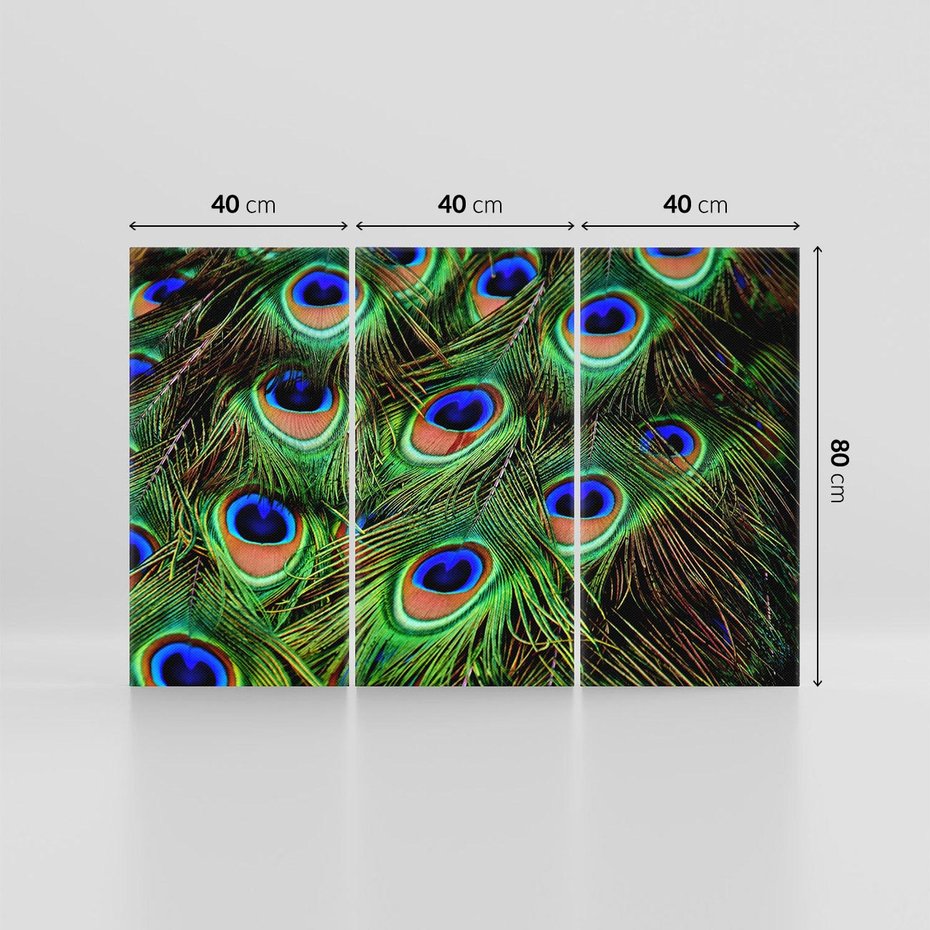 Obraz na płótnie 120x80 - Pawi Ogon - Piękno i Wspaniałość - paw, pióra