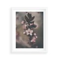 Plakat w ramie 40x50 - Przemijający Urok - kwitnąca, wiśnia - rama biała