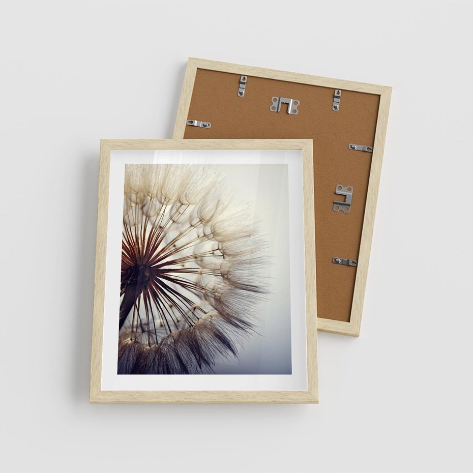 Plakat w ramie 40x50 - Makro piękno dmuchawca - makro, dmuchawiec - rama drewno