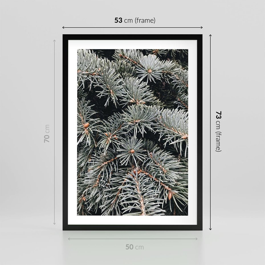 Plakat w ramie 50x70 - Zima na Gałęziach - sosnowe gałęzie, igły - rama czarna