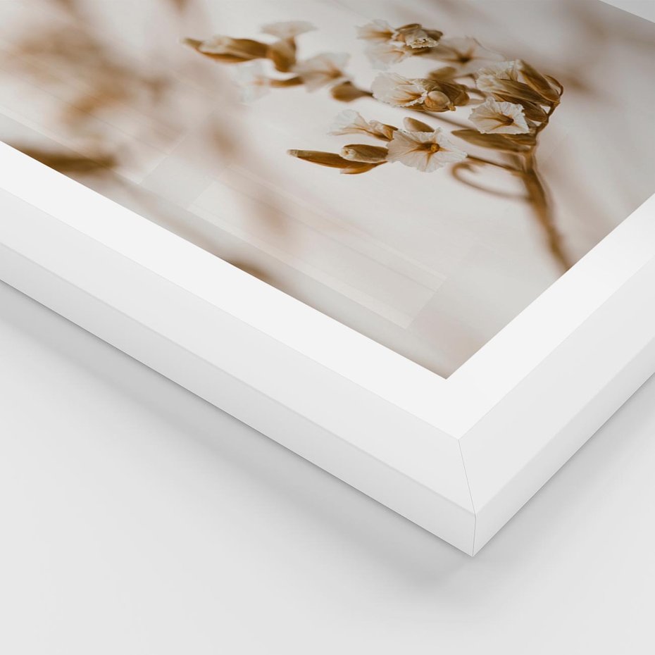 Plakat w ramie 50x70 - Kwiatowa suchość - kwiaty, susz - rama biała