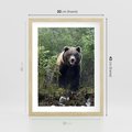 Plakat w ramie 30x40 - Spotkanie z Niedźwiedziem w Lesie - niedźwiedź, las - rama drewno