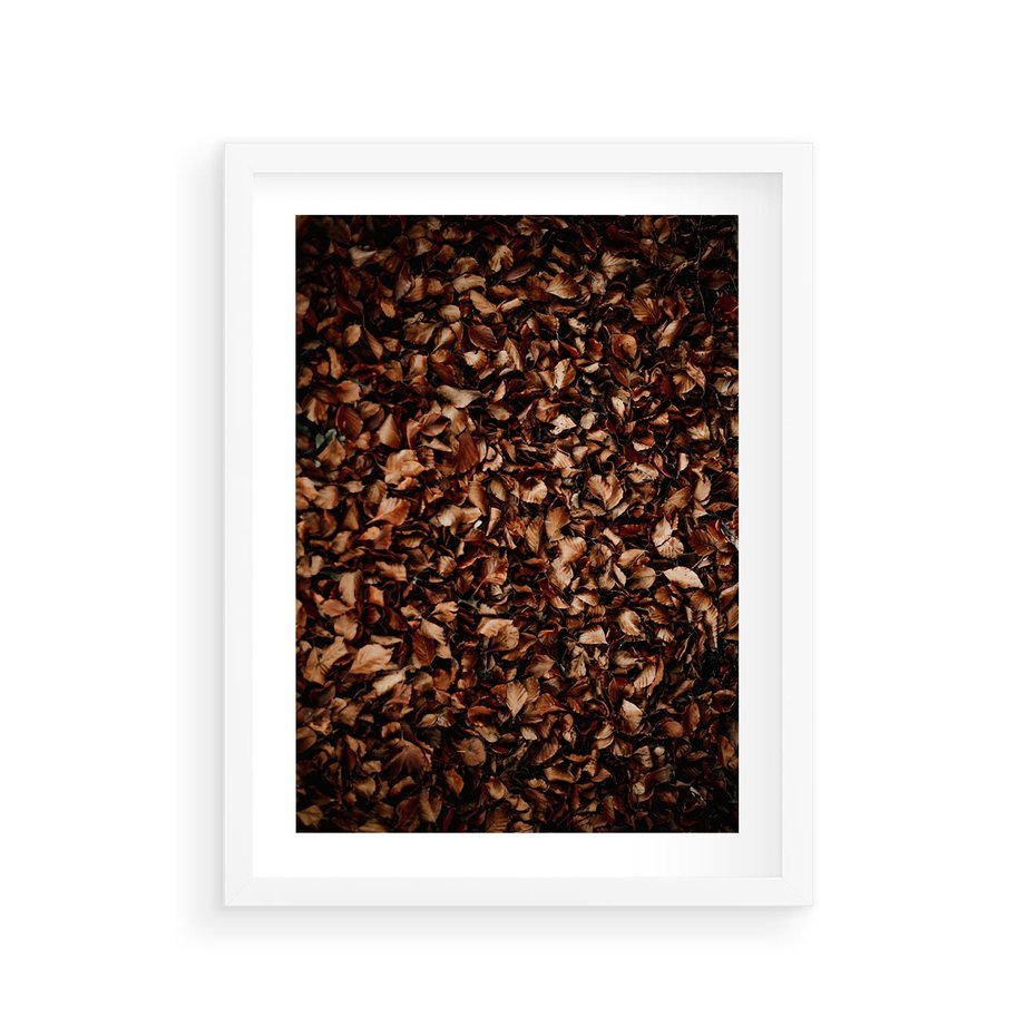 Plakat w ramie 30x40 - Jesienny Dywan - dywan z suchych liści, jesień - rama biała