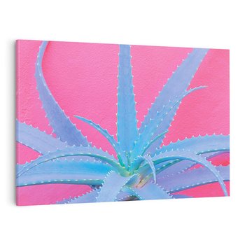 Obraz na płótnie 70x50 - Piękno Pustyni - kaktusy, liście