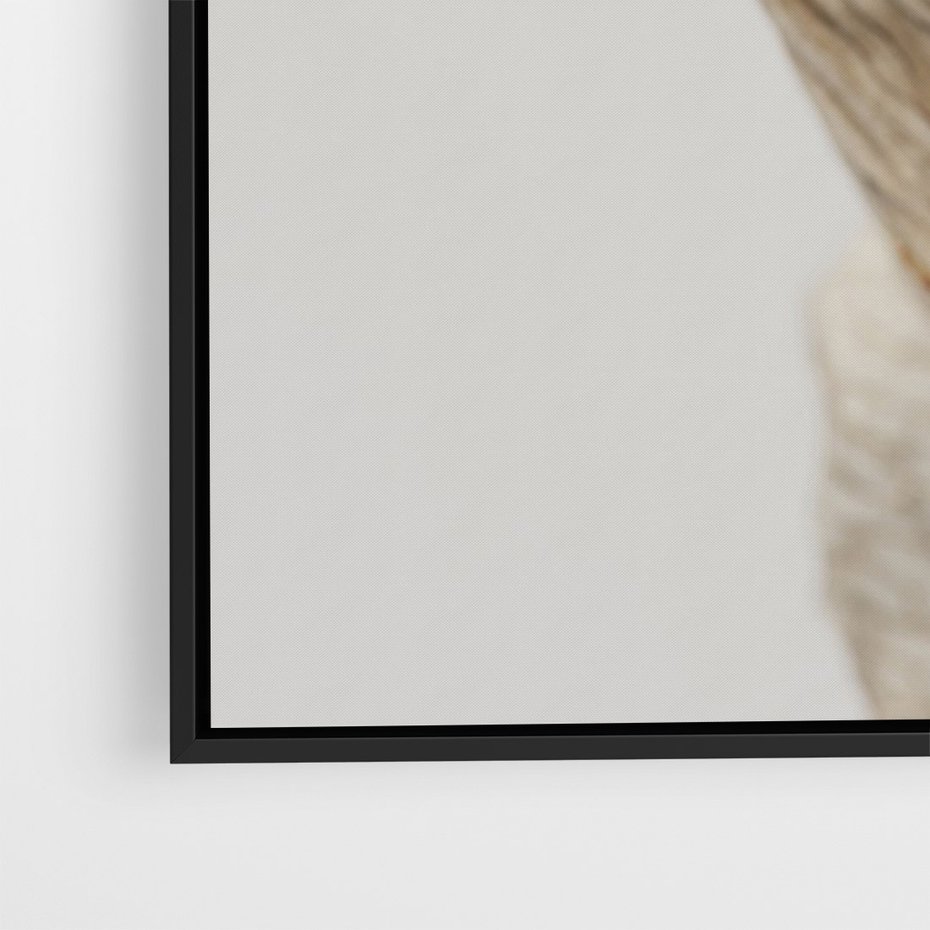 Obraz w ramie 50x70 - Suszone piękno - susz, suche - rama czarna