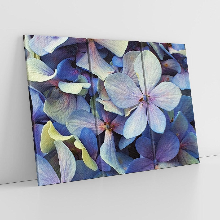 Obraz na płótnie 120x80 - Hortensja - delikatność kwiatów - hortensja, kwiaty