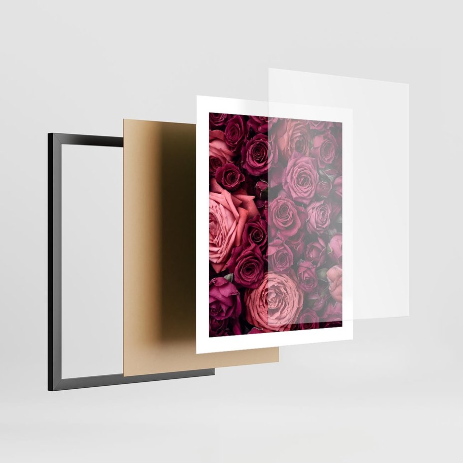Plakat w ramie 40x50 - Róże - piękno kwiatów - róże, kwiaty - rama czarna