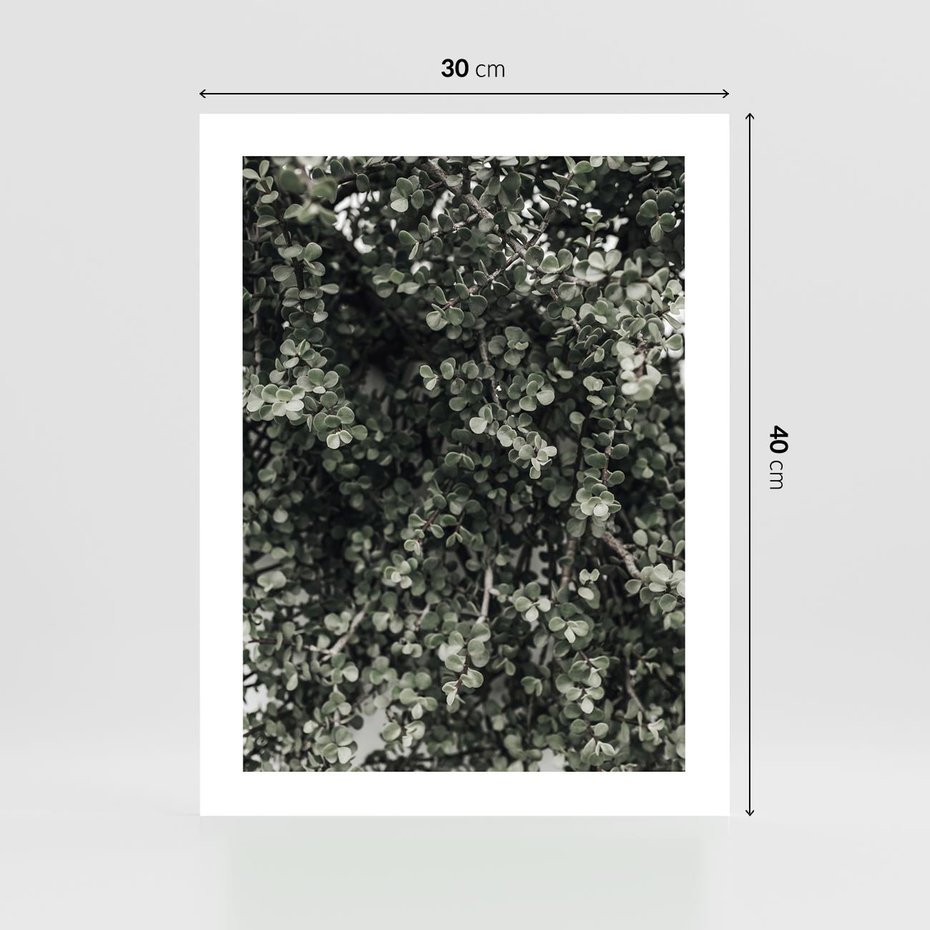 Plakat bez ramy 30x40 - Jasnozielone Liście i Gałązki - liście, gałązki