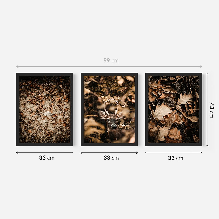 Zestaw obrazy w ramie 30x40 galeria - Las, jesień, jeleń - rama czarna