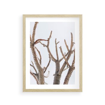 Plakat w ramie 30x40 - Pustynna Harmonia Gałęzi - pustynna roślina, suche gałęzie - rama drewno