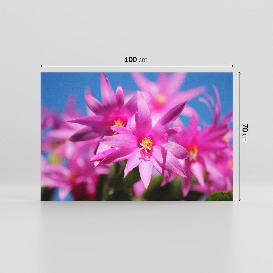 Obraz na płótnie 100x70 - Kwiatowy urok - kwiat, kwiaty