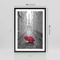 Plakat w ramie 50x70 - Kolorowy parasol w Paryżu - Paryż, parasol - rama czarna