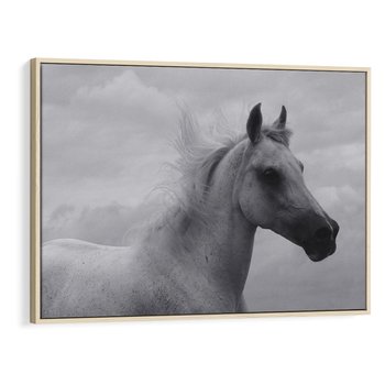 Obraz w ramie 120x80 - Moc i Wolność - czarno biała fotografia, biały - rama drewno